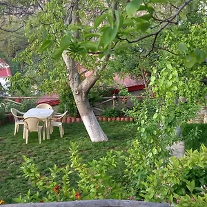 Roleo Ferienhaus Lini